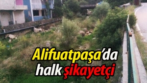 Kıncı Deresi çöp ve sinek yuvası