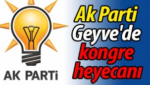 Ak Parti Geyve'de kongre heyecanı
