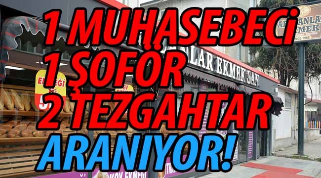 Geyve'de 1 Muhasebeci, 1 Şoför ve 2 Tezgahtar aranıyor