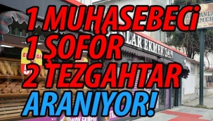 Geyve'de 1 Muhasebeci, 1 Şoför ve 2 Tezgahtar aranıyor