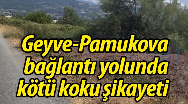 Geyve-Pamukova bağlantı yolunda kötü koku! 