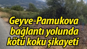 Geyve-Pamukova bağlantı yolunda kötü koku!