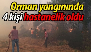 Orman yangınında 4 kişi hastanelik oldu