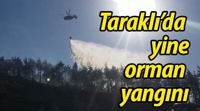 Taraklı'da yine orman yangını! 