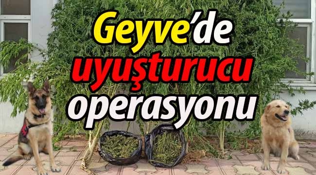 Geyve'de uyuşturucu operasyonu! 