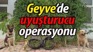 Geyve'de uyuşturucu operasyonu!