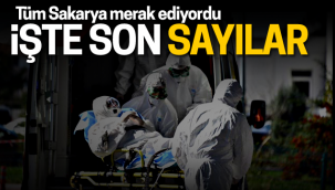 Sakarya'da vaka sayıları korkutuyor!