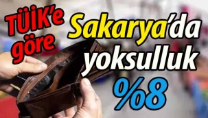 TÜİK'e göre Sakarya'da yoksulluk %8