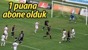 1 puana abone olduk!