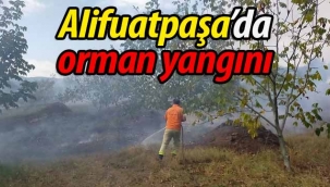 Alifuatpaşa'da orman yangını!