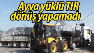 Ayva yüklü TIR dönüş yapamadı