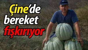 Geyve Çine'de bereket fışkırıyor!