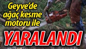 Geyve'de ağaç kesme motoruyla dizini kesti
