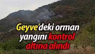 Geyve Karacaören'deki orman yangını kontrol altına alındı
