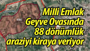 Geyve Ovasında 88 dönümlük arazi kiraya veriliyor