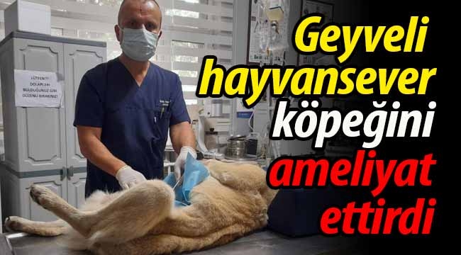 Geyveli hayvansever, köpeğini ameliyat ettirdi