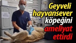 Geyveli hayvansever, köpeğini ameliyat ettirdi