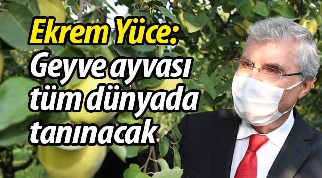 Yüce: "Geyve ayvası tüm dünyada tanınacak"