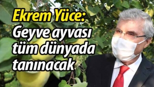 Yüce: "Geyve ayvası tüm dünyada tanınacak"