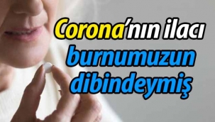 Corona'nın ilacı burnumuzun dibindeymiş