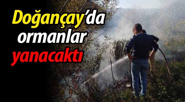 Doğançay'da az daha ormanlar yanacaktı!