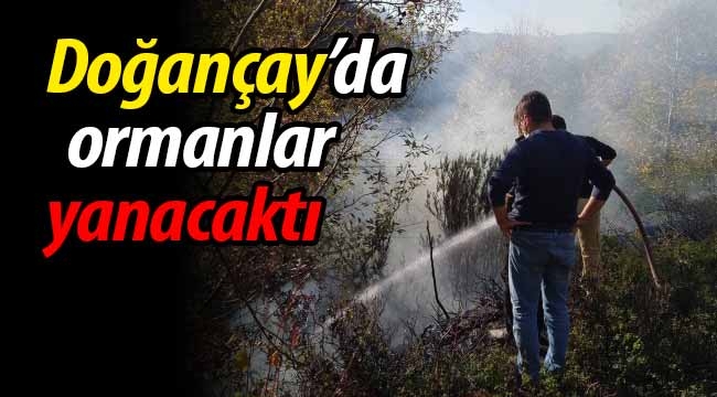 Doğançay'da az daha ormanlar yanacaktı! 