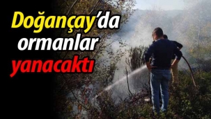 Doğançay'da az daha ormanlar yanacaktı!