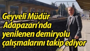 Geyveli Müdür, yenileme çalışmalarını takip ediyor