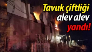 Tavuk çiftliği alev alev yandı!