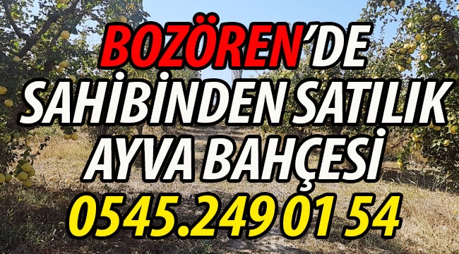 Bozören'de Sahibinden Satılık 2,5 dönüm Ayva Bahçesi