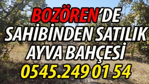 Bozören'de Sahibinden Satılık 2,5 dönüm Ayva Bahçesi