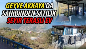 Geyve Akkaya'da, Sahibinden Satılık Seyir Teraslı Ev!