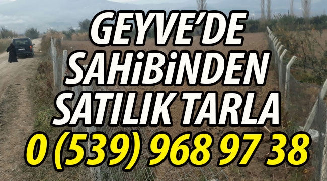 Geyve'de Sahibinden Satılık Tarla