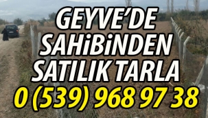 Geyve'de Sahibinden Satılık Tarla