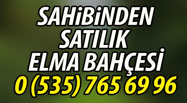 Geyve Sarıgazi'de Sahibinden Satılık Elma Bahçesi