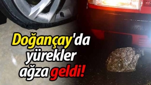 Doğançay'da yürekler ağza geldi!