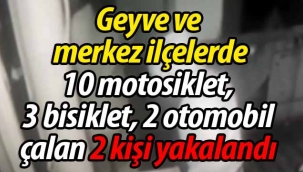 Geyve'de hırsızlık yapanlar yakalandı