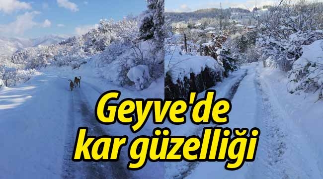 Geyve'de kar güzelliği