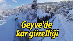 Geyve'de kar güzelliği