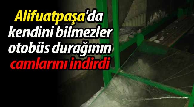 Geyve'de kendini bilmezler durak camlarını indirdi