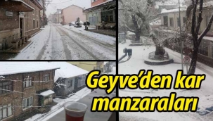Hasret bitti! Geyve'den kar manzaraları