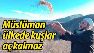 Müslüman ülkede kuşlar aç kalmaz