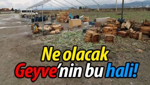 Ne olacak Geyve'nin bu hali!