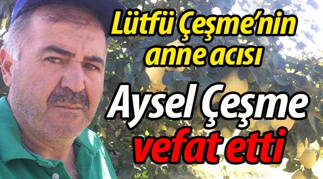 Aysel Çeşme vefat etti