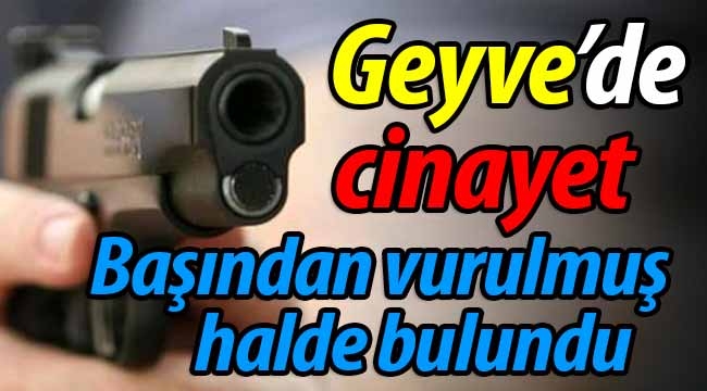 Geyve'de cinayet!