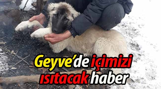 Geyve'de içimizi ısıtan haber