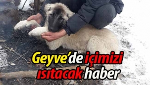 Geyve'de içimizi ısıtan haber