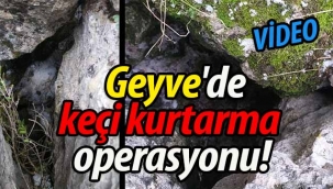 Geyve'de keçi kurtarma operasyonu!