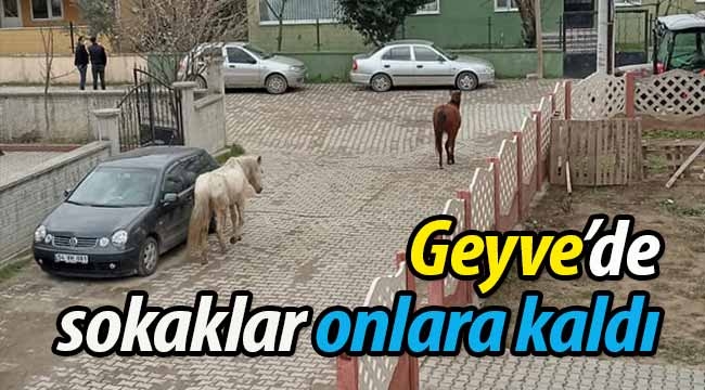 Geyve'de sokaklar onlara kaldı