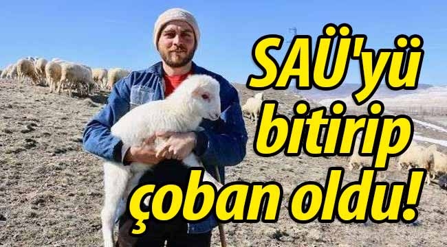 SAÜ'yü bitirip koyun çobanı oldu!